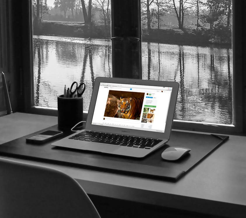 Cursos online - Alunos